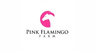 Pink flamingo farmLOGO设计