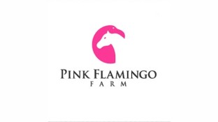 Pink flamingo farmLOGO