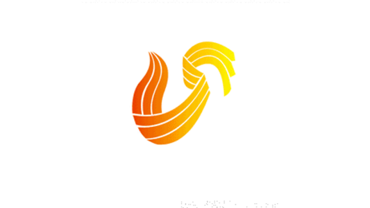 山东电视台标志的历史LOGO