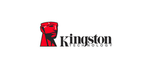 金士顿 kingstonLOGO设计