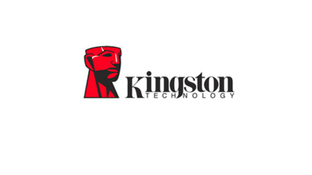 金士顿 kingstonLOGO