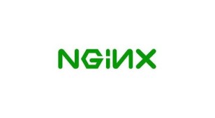 nginx web容器LOGO设计