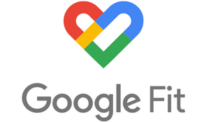 Google FitLOGO