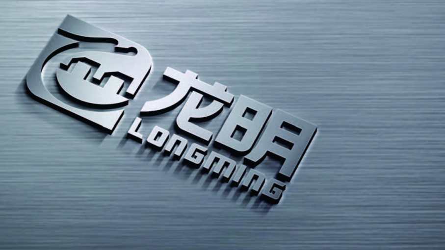 龙明logo设计效果图5