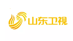 山东电视台标志LOGO