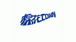 棉花TOWNLOGO设计