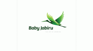 Baby Jabiru婴儿食品(美国)LOGO设计