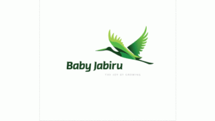 Baby Jabiru婴儿食品(美国)LOGO
