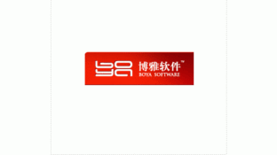 博雅软件LOGO