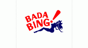 Bada BingLOGO设计