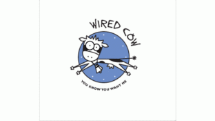 Wired CowLOGO