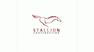 stallion versionLOGO设计