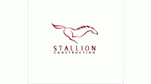 stallion versionLOGO