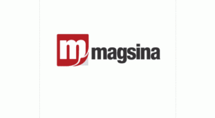 Magsina微博杂志LOGO设计