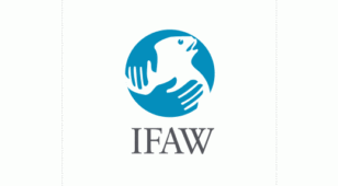 国际爱护动物基金会 IFAWLOGO设计