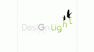 Design lightLOGO设计