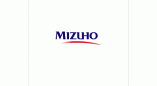 MIZUHO/日本瑞穗银行LOGO设计