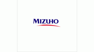 MIZUHO/日本瑞穗银行LOGO