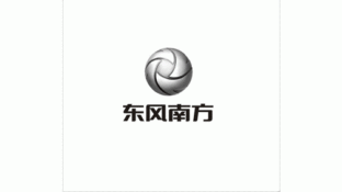 东风南方实业LOGO