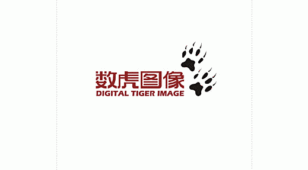 数虎图像LOGO设计