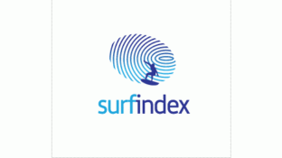 surfindex 冲浪游戏LOGO