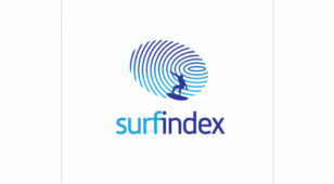 surfindex 冲浪游戏LOGO设计