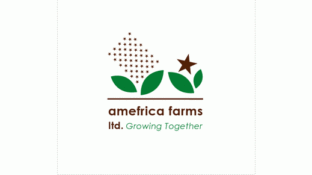 Amefrica FarmsLOGO