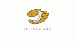 freedom nowLOGO设计