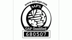 MPS gap qualifiedLOGO设计