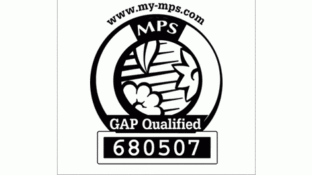 MPS gap qualifiedLOGO