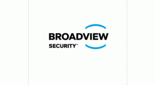 Broadview SecurityLOGO设计