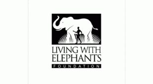 Living with Elephants FoundationLOGO设计