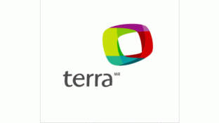 Terra NetworksLOGO