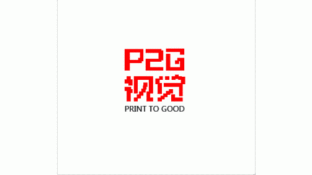 P2G视觉LOGO