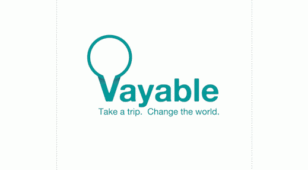 vayableLOGO设计