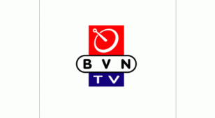 BVN TVsLOGO设计