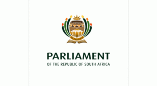 南非共和国议会LOGO设计