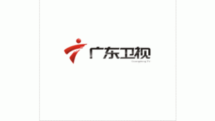 广东电视台 卫星频道LOGO