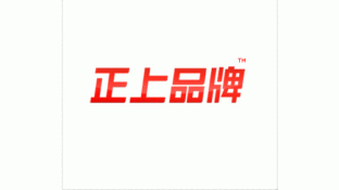 正上品牌设计LOGO