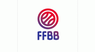 法语联邦培训篮球 FFBBLOGO设计