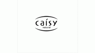 采诗 caisyLOGO