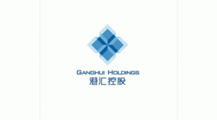 港汇控股LOGO设计