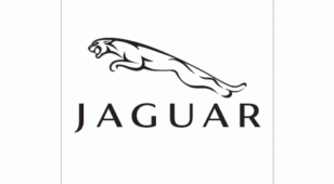 Jaguar（美洲豹/捷豹）LOGO设计