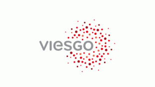 Viesgo能源公司LOGO