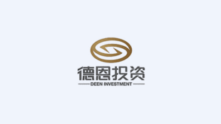 德恩投资担保有限公司LOGO