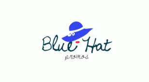 蓝帽子LOGO设计