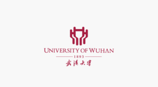 武汉大学校徽设计LOGO设计