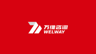 WELWAY万维LOGO