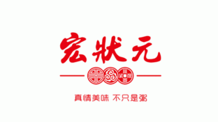 宏状元LOGO